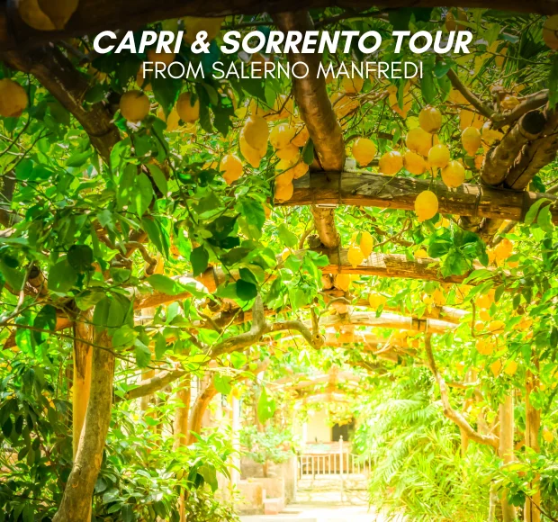 Capri and Sorrento Tour departing from Salerno