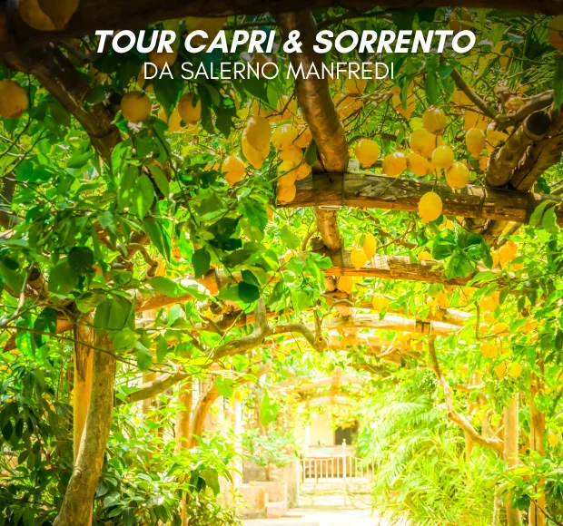 Tour di Capri e Sorrento in partenza da Salerno
